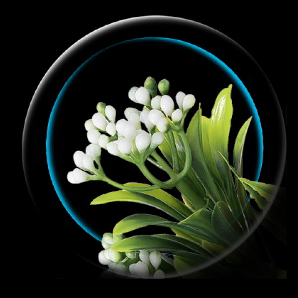 Jasa Foto Produk Murah Surabaya