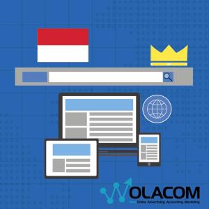 Search Engine Merajai Pasar Pengguna Internet di Indonesia