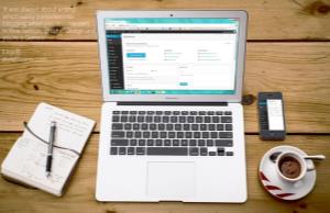 2. Penulis Lepas (Freelance Writer)