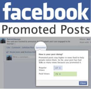 2. Facebook Promoted Ads