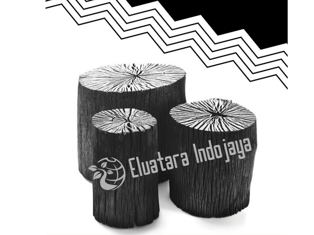 Berbagai Macam Kegunaan Arang