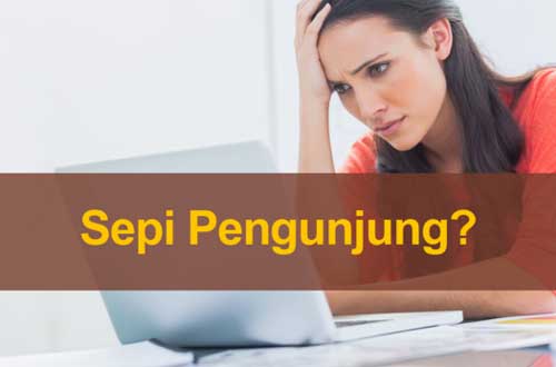 1. Blog Sepi Pengunjung