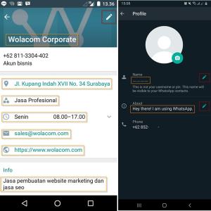 Trik Berjualan melalui Status Whatsapp - Online Marketing Guidance