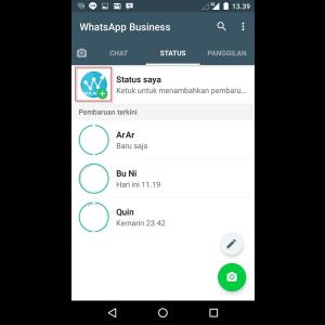 Trik Berjualan melalui Status Whatsapp - Online Marketing Guidance