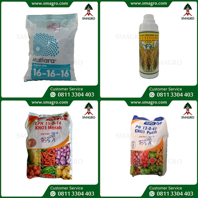 Hadirkan Pupuk Bekualitas untuk Kebutuhan Agribisnis, Taman, dan Greenhouse