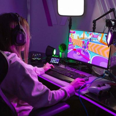 5. Gamer dan Streamer