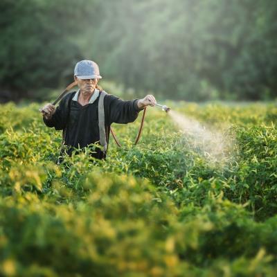 Mengapa Memilih UrbanFarmingku?