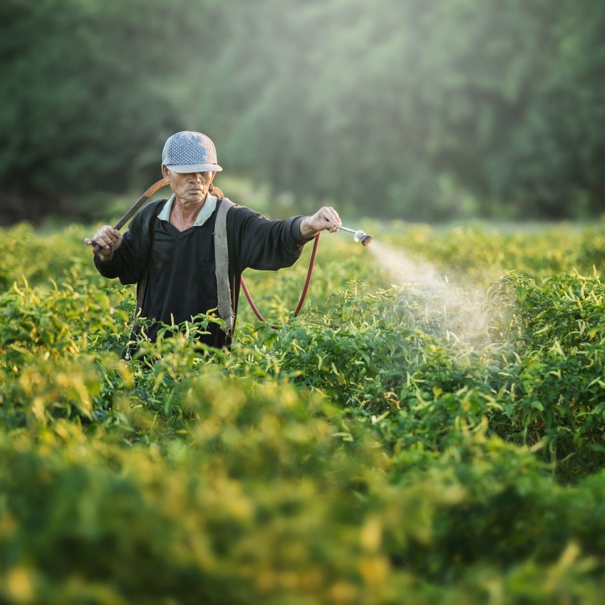 Mengapa Memilih UrbanFarmingku?
